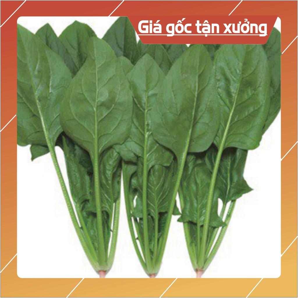 Hạt Giống Cải Bó Xôi Chịu Nhiệt, Dễ Trồng - gói 20g