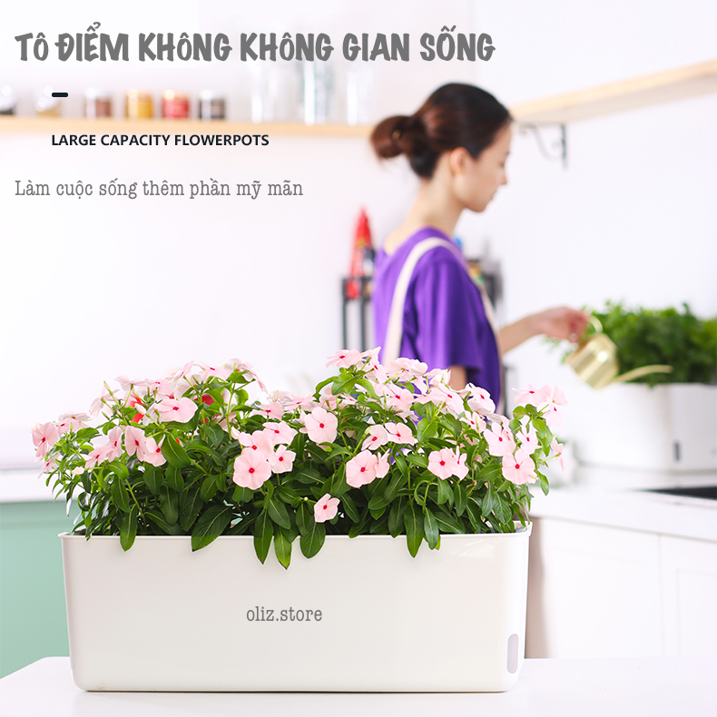 Chậu nhựa trồng cây A207. Chậu trồng cây tự dưỡng 2 lớp, có chức năng tự hút nước cho cây