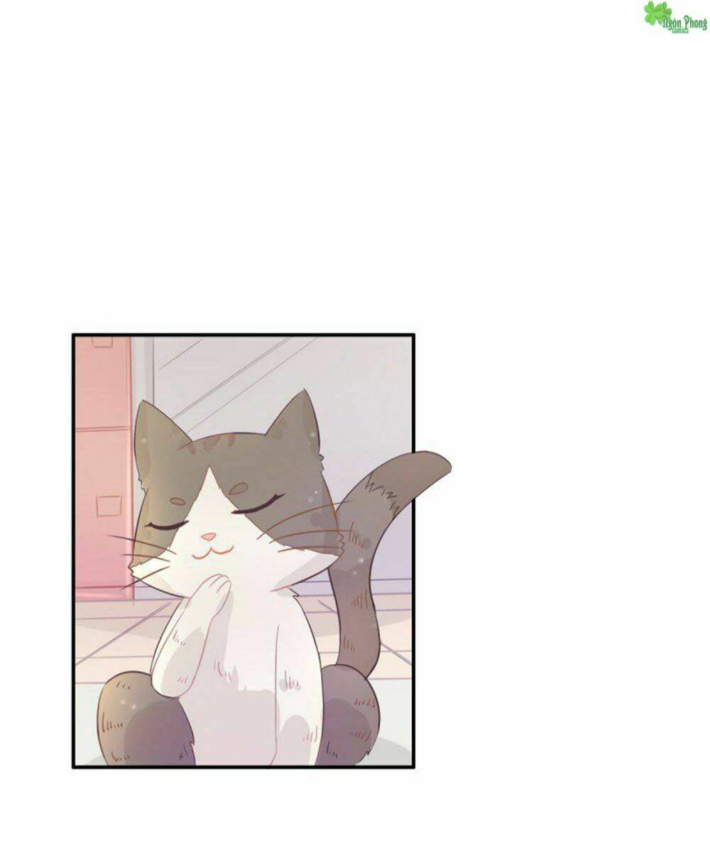 hai chú mèo totem chapter 1 53