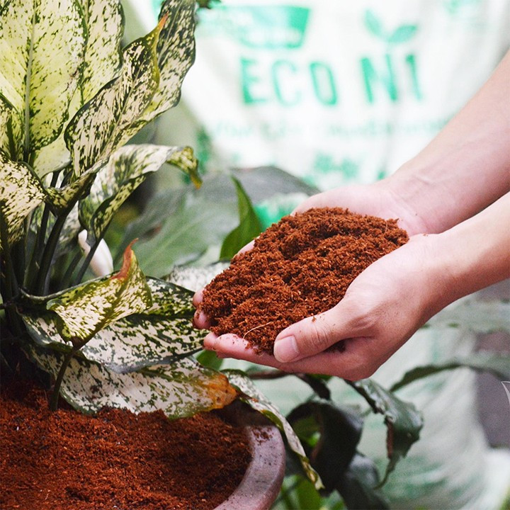 Mụn dừa (xơ dừa) đã qua xử lý dùng trồng rau, hoa, phối trộn đất trồng cây - bao 5dm3