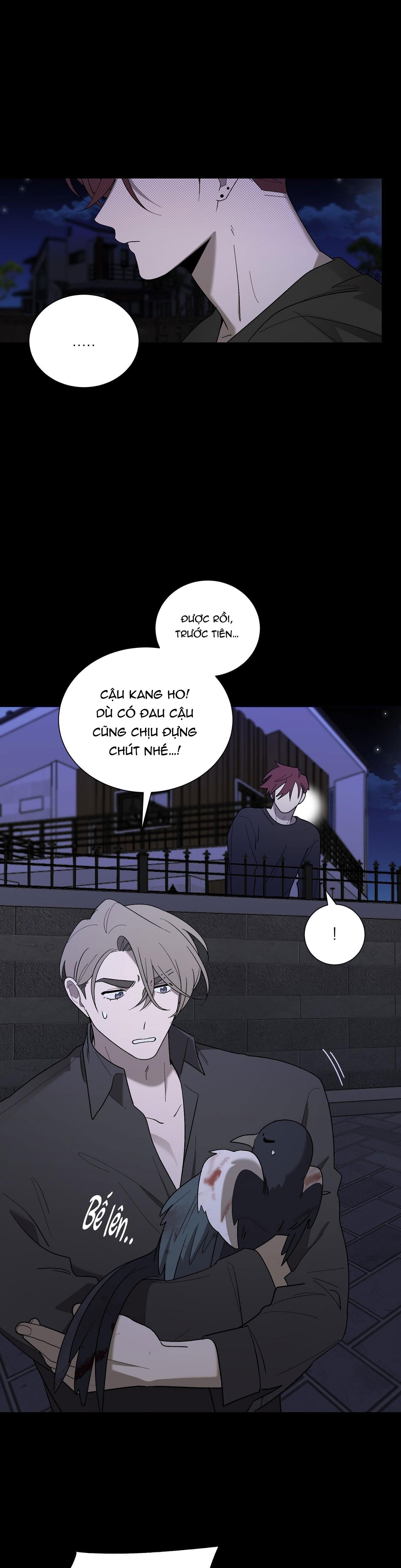 khi chim thước đến chapter 12 31