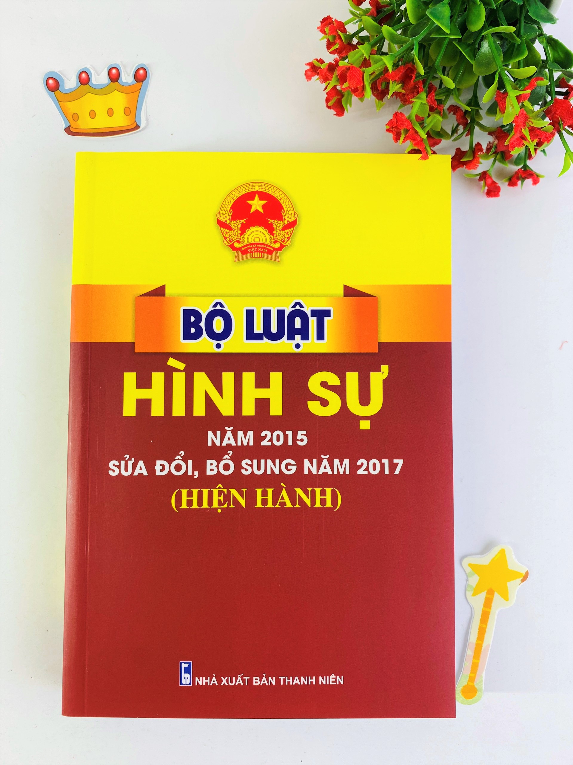 Bộ luật hình sự năm 2015 sửa đổi,bổ sung năm 2017 hiện hành - B129 - ndbooks