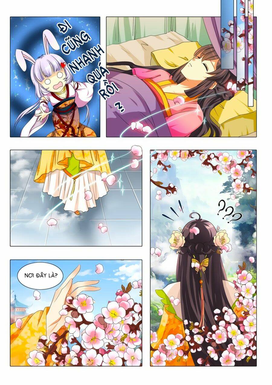 đống phù đã khai quang chapter 3 6