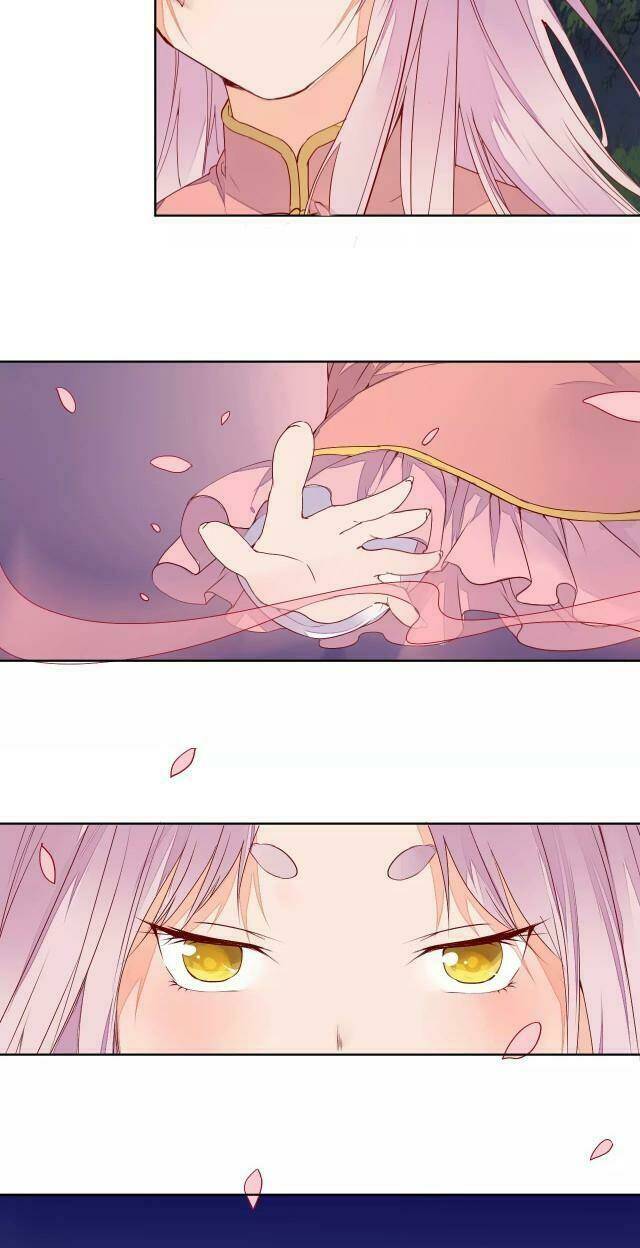 đốt đào hoa chapter 68 4