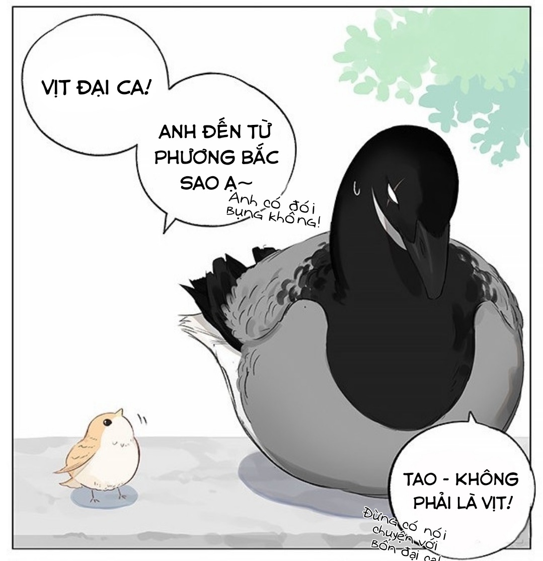 sẻ chiếu mới và nhạn phong sương chapter 1 4