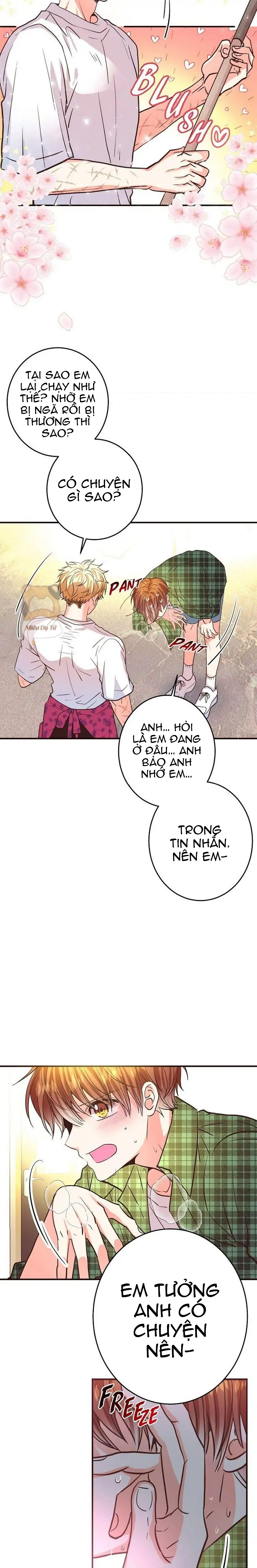 mối quan hệ phù hợp chapter 20 19