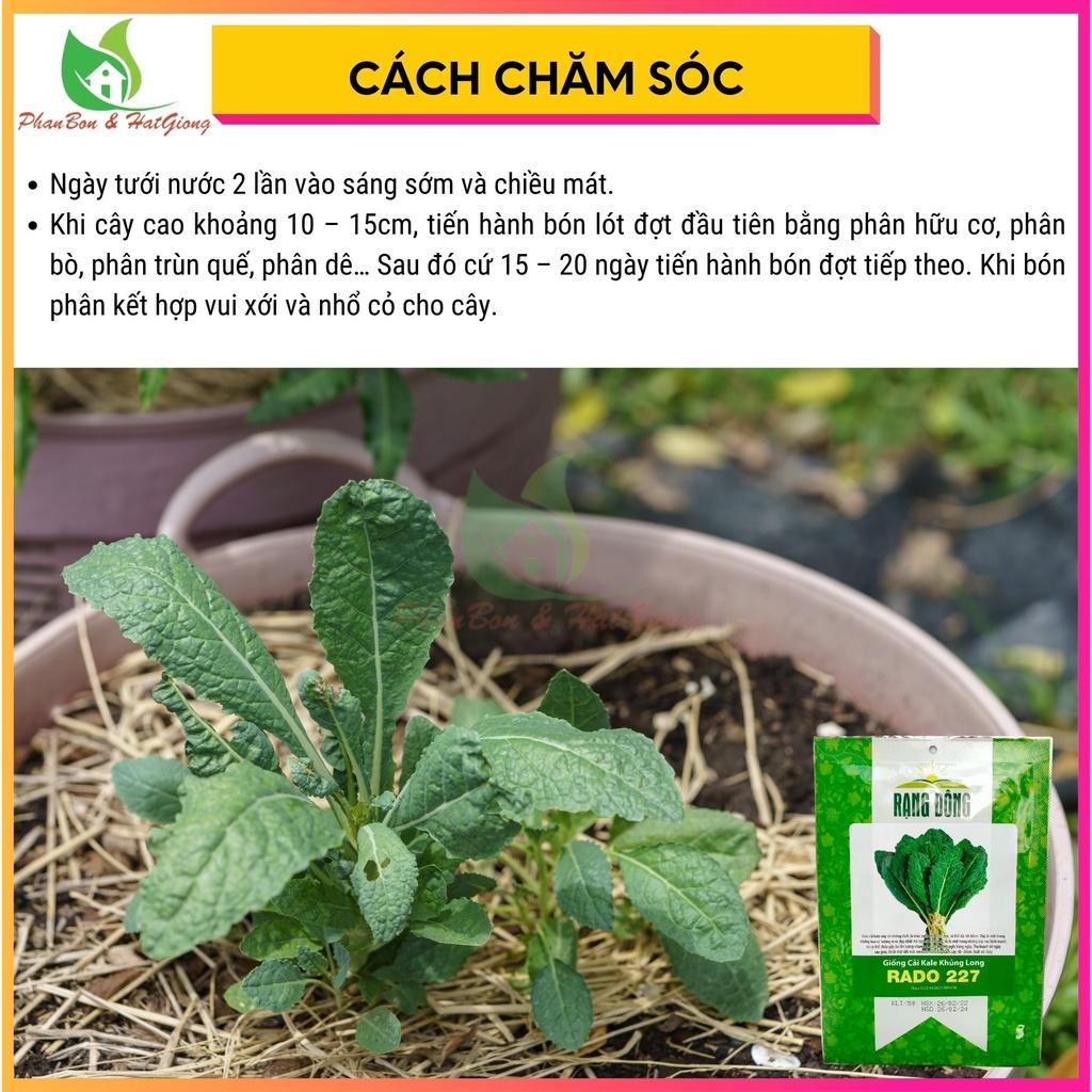 Hạt Giống Rau Cải Kale KHỦNG LONG Cải Xoăn 5gr - Rạng Đông - Shop Phân Bón và Hạt Giống