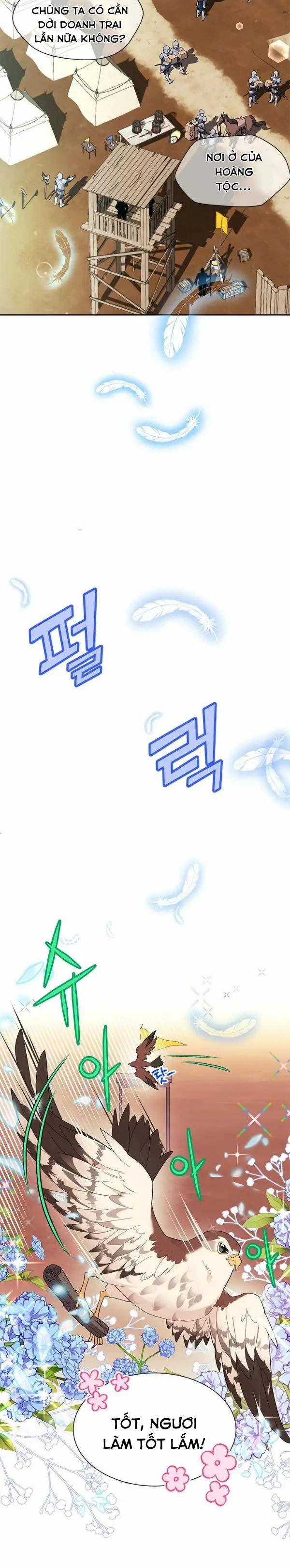 công chúa chim ưng cavier chapter 5 13