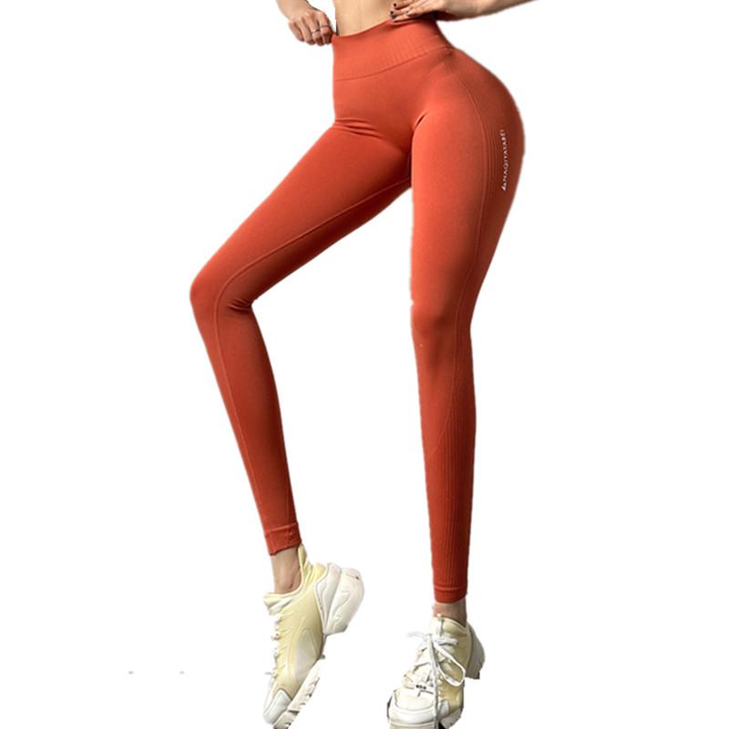 Tập Thể Dục Đan Liền Mạch Thun Thể Thao Legging Nữ Cao Cấp Tập Yoga Quần Nhanh Khô Tập Gym Sóc Chạy Nâng Mông Quần Legging