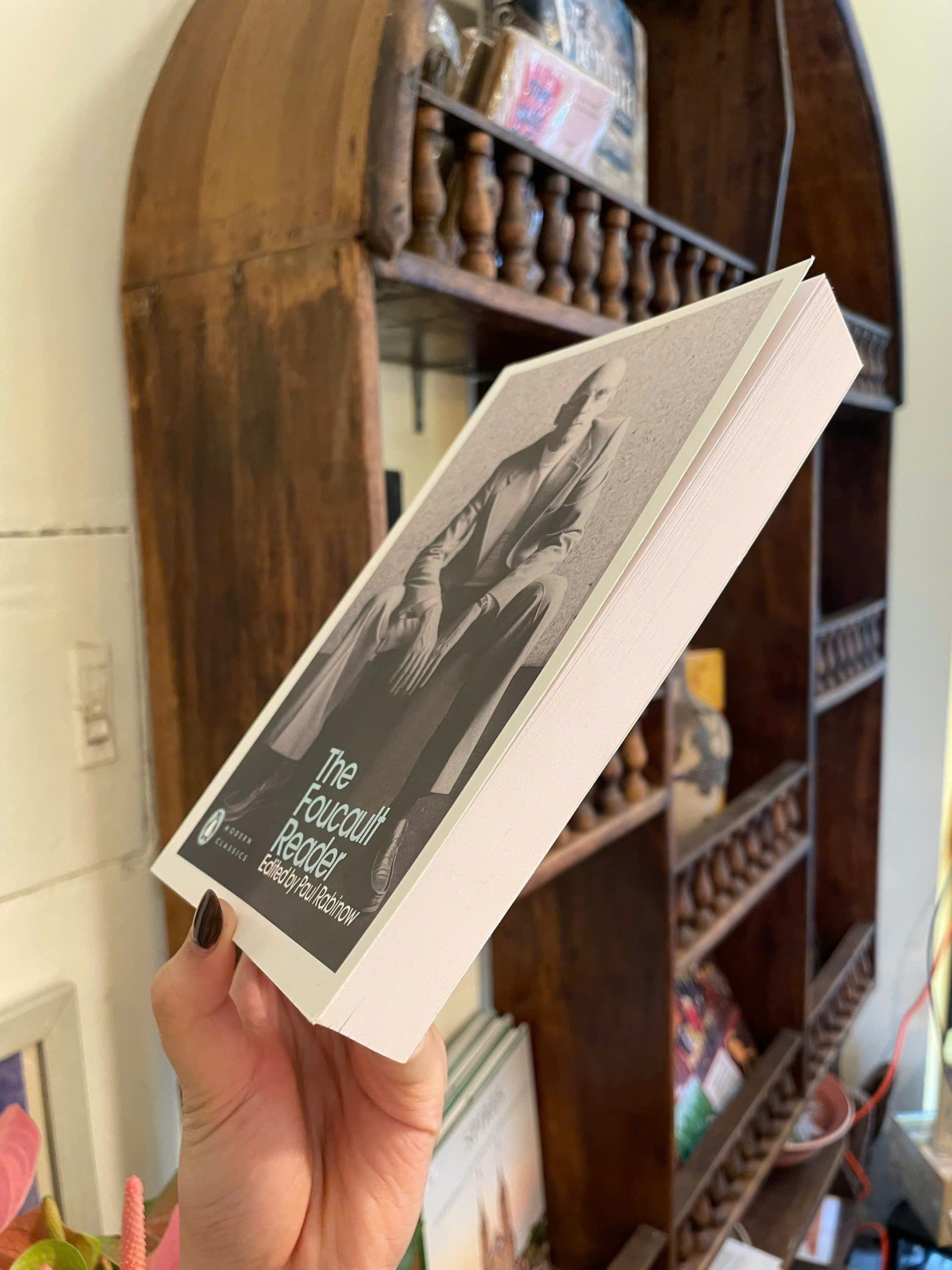 Sách - The Foucault Reader by Michel Foucault | Philosophy / Sociology / Triết học / Ngoại văn