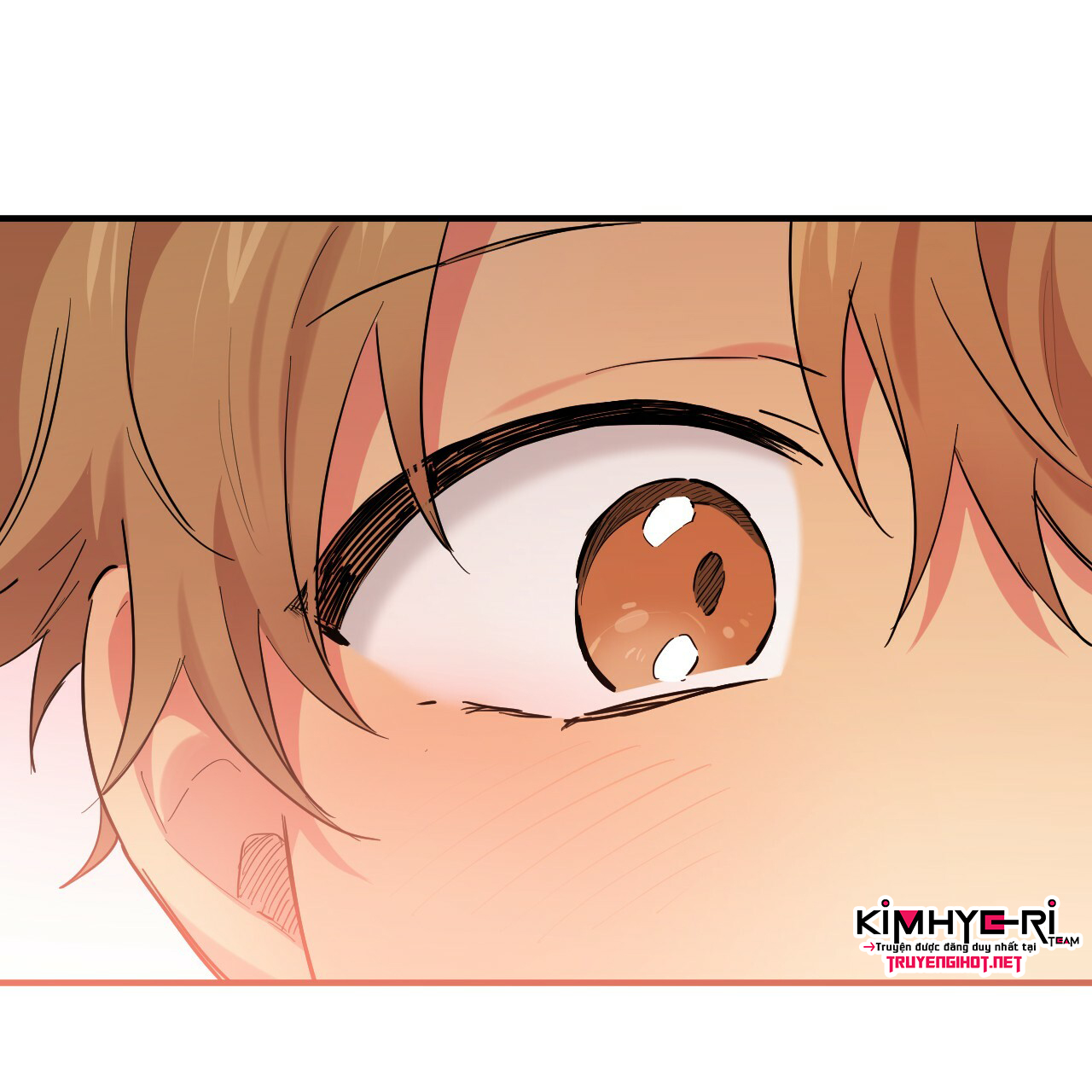 những chú thỏ của hapypy chapter 10 78