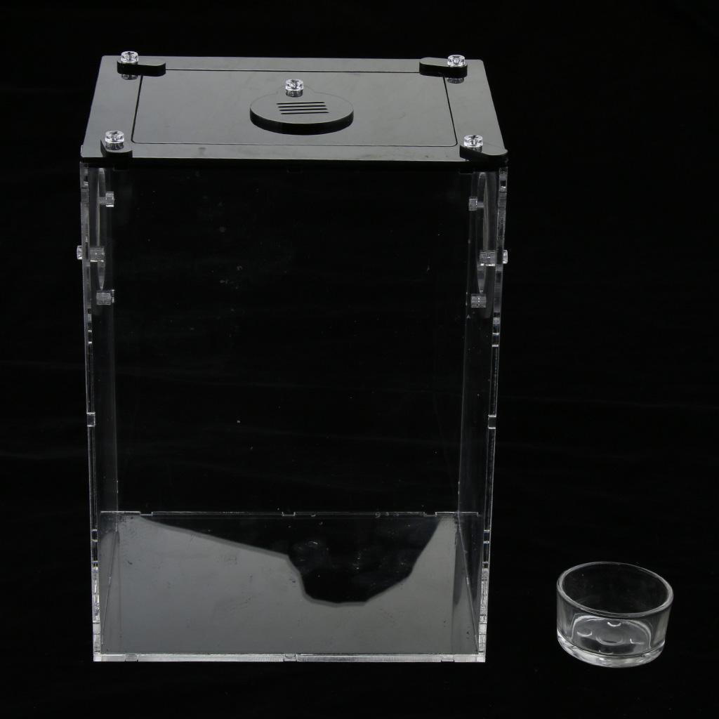 2pcs Reptile Feeding Box Transparent Cage Hatching Container For Lizards