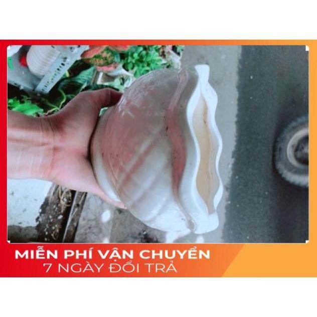 Nhất Mạt Hương kèm chậu sứ