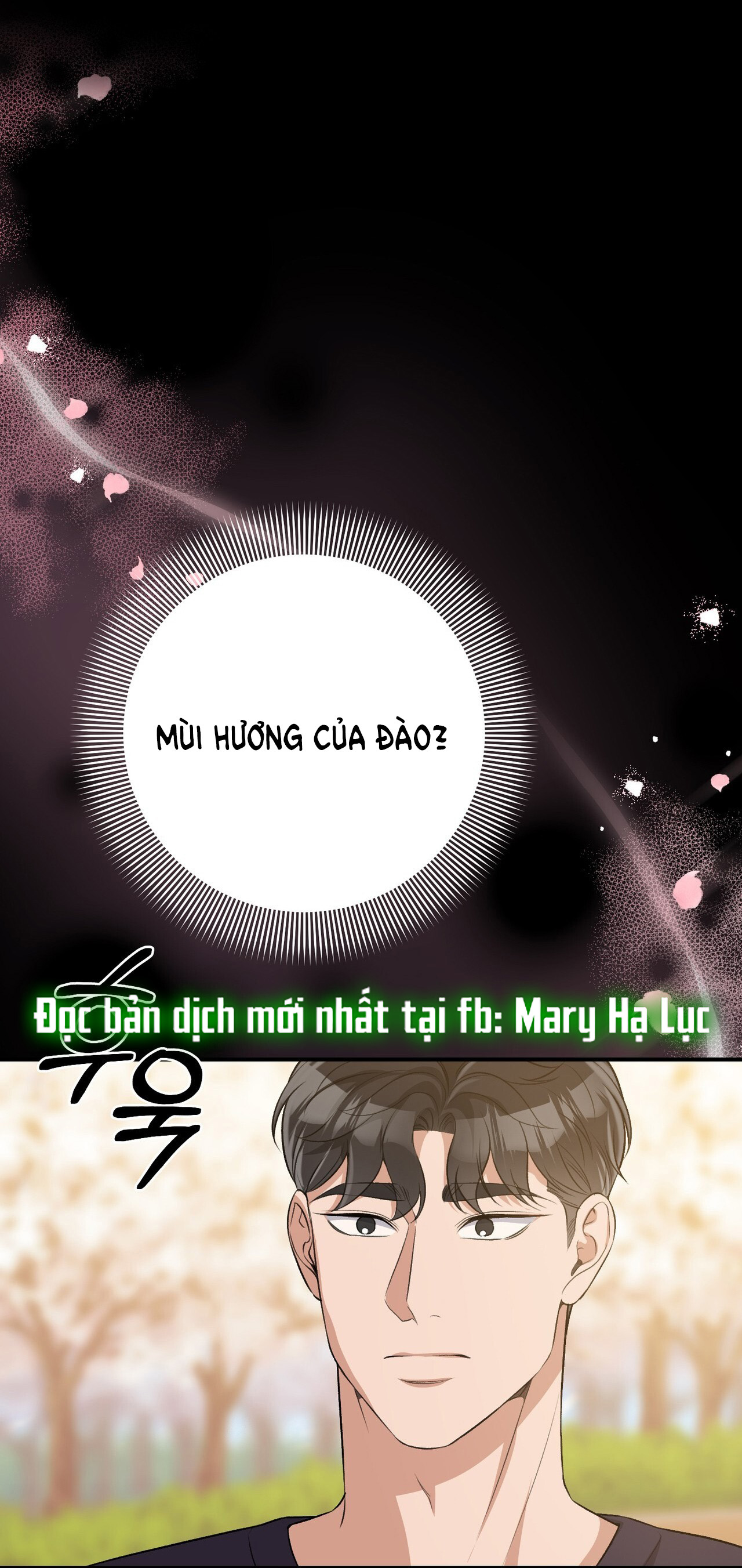 Cướp Dâu chapter 15.1 - Trang 16