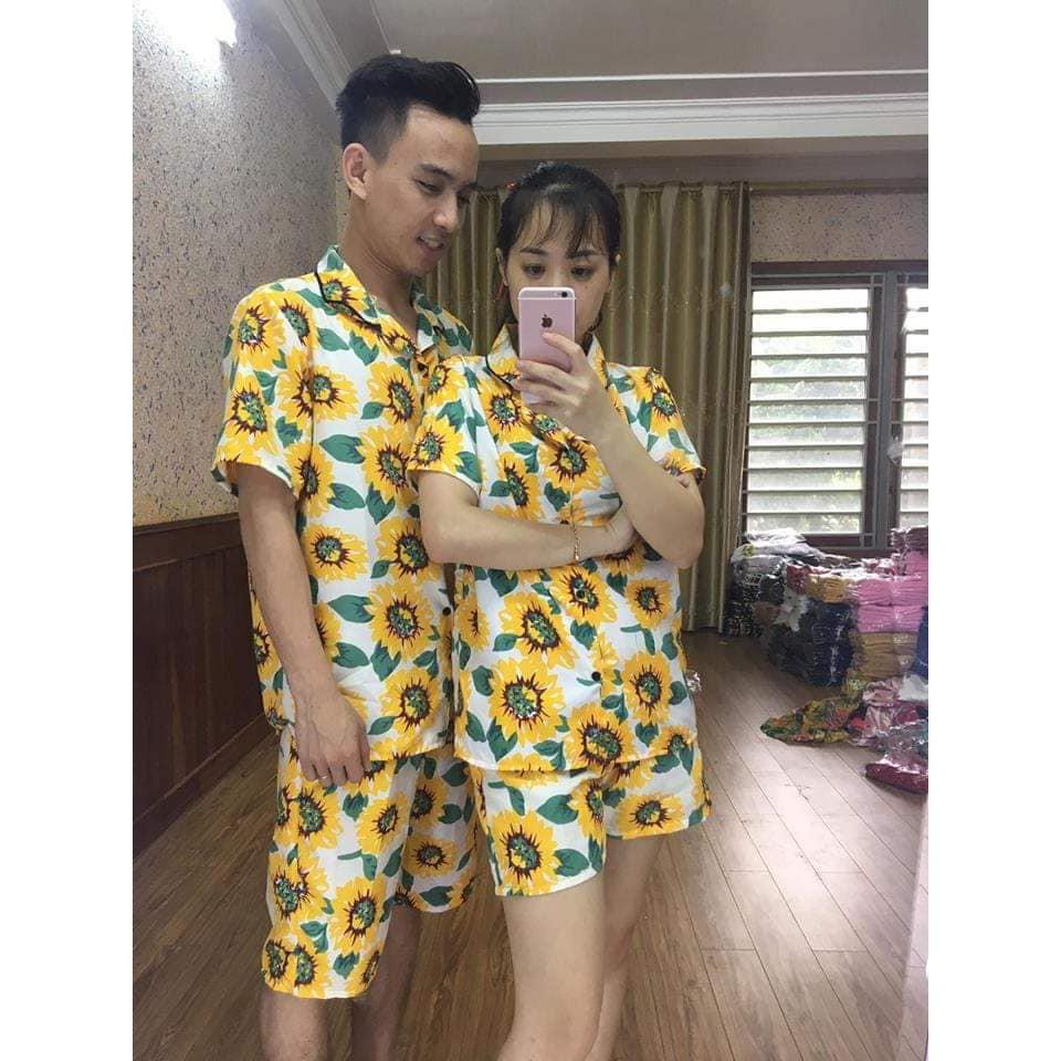 SET BỘ HOA HƯỚNG DƯƠNG NỀN TRẮNG THÁI
