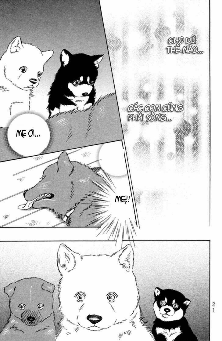 deep love - pao no monogatari chapter 1 24