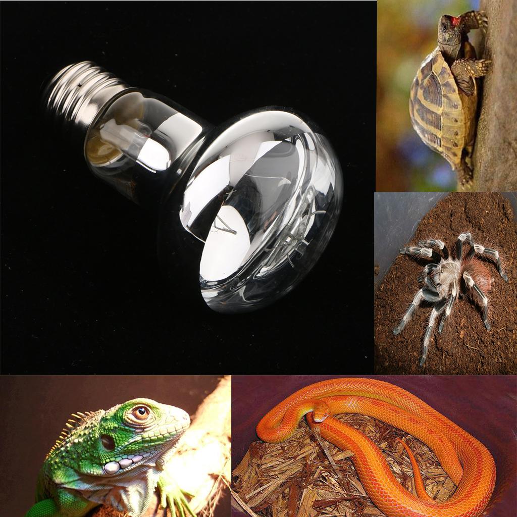 Reptile Brooder UVA Heating Lamp Bulb Lightbulb for Frog Snake Lizard Dragon E27, Heating Lamp