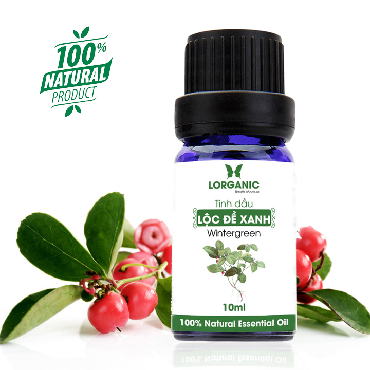 Tinh dầu lộc đề xanh Lorganic Wintergreen 10ml