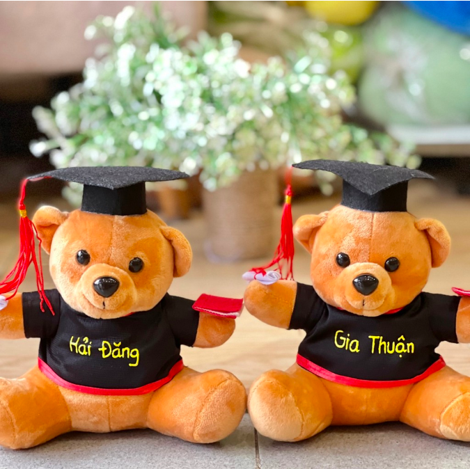 Thú bông gấu tốt nghiệp - tặng túi gói quà và nơ