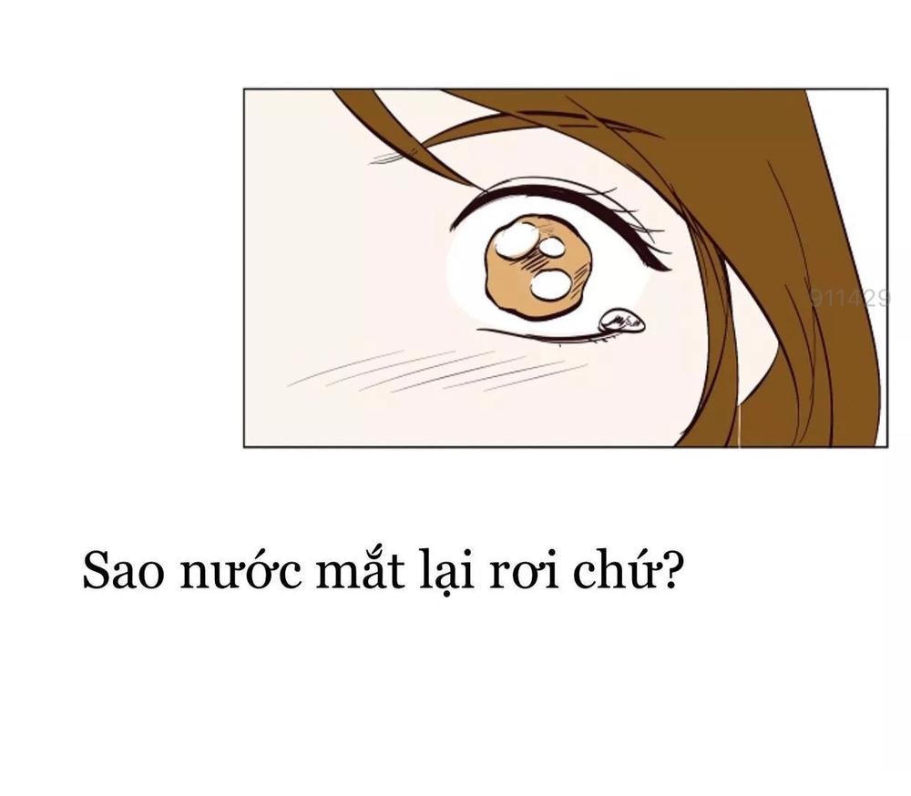 tôi kết hôn cùng antifan chapter 3.1 12