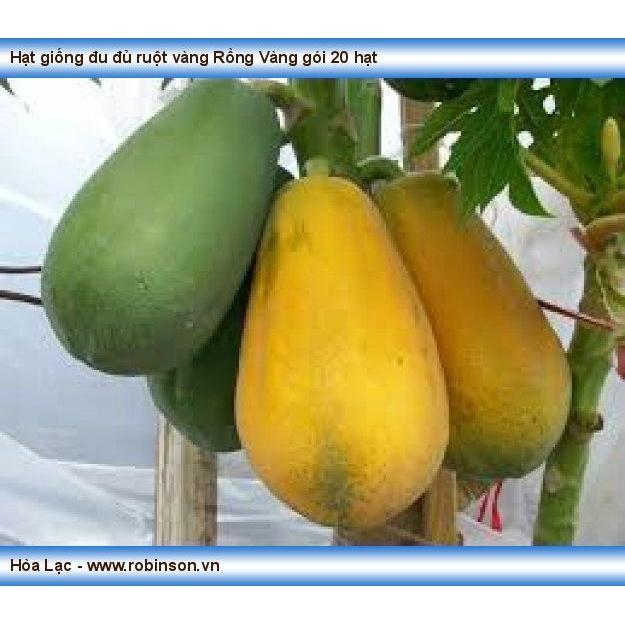 Hạt giống đu đủ ruột vàng lai F1 - 1 gói 10 hạt