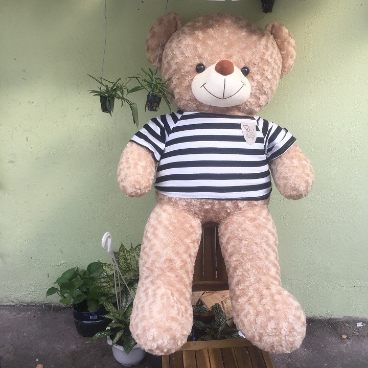 GẤU BÔNG Teddy ICHIGO khổ vải 1M4 bên trong gấu 100% gòn