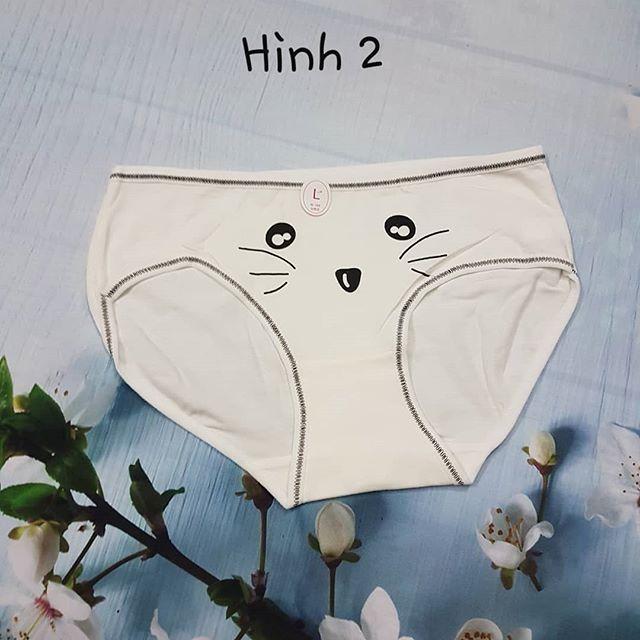 Quần lót nữ in hình ngộ nghĩnh
