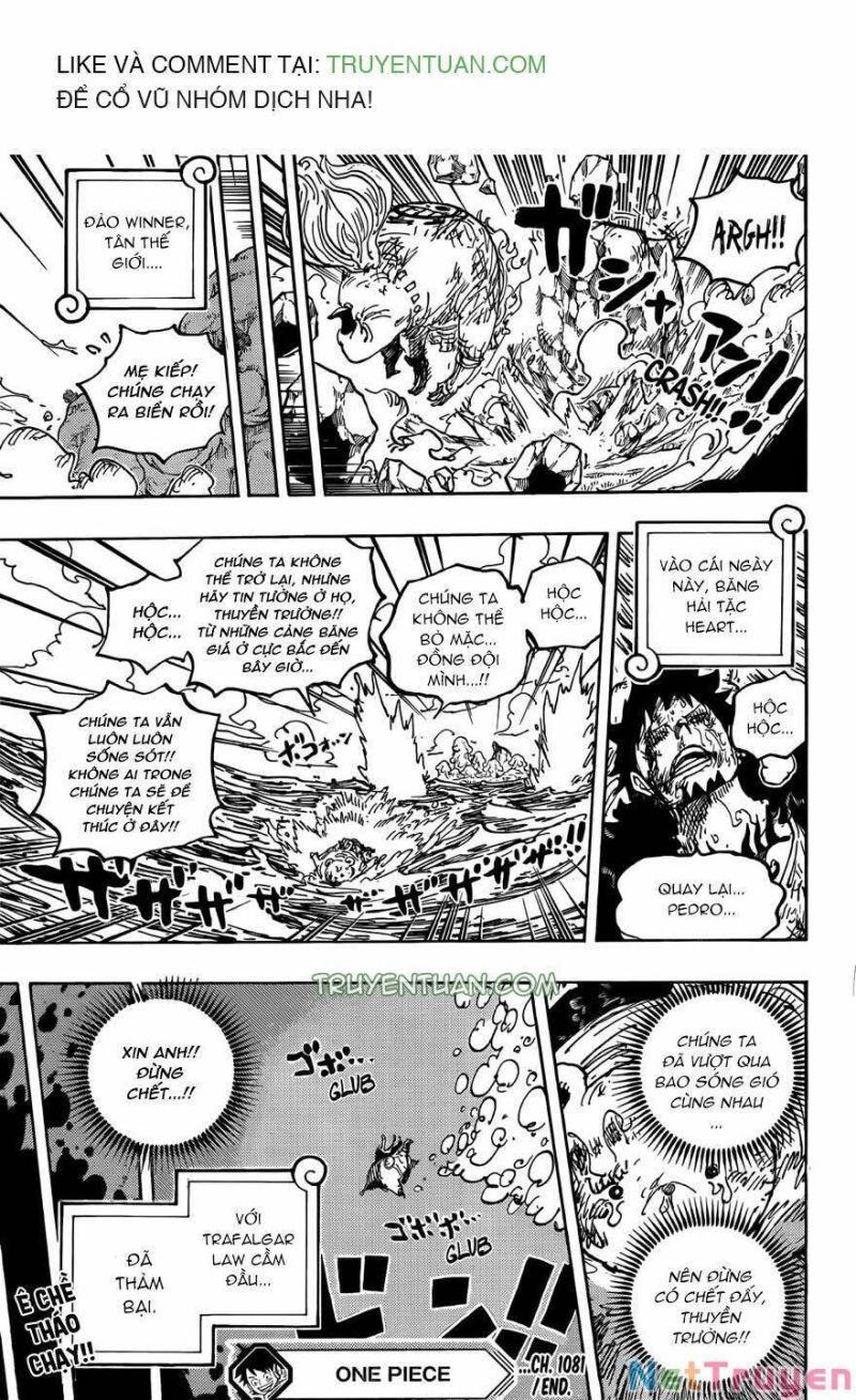 đảo hải tặc - one piece chapter 1081 15