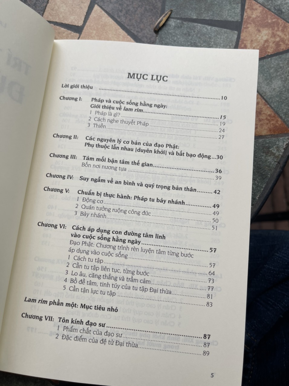 TRÍ TUỆ ĐỨC PHẬT – Cách đạt an bình thật sự – Tôn Sư Lama Thamthog Rinpoche – Tuệ Tri Books – NXB Tôn Giáo