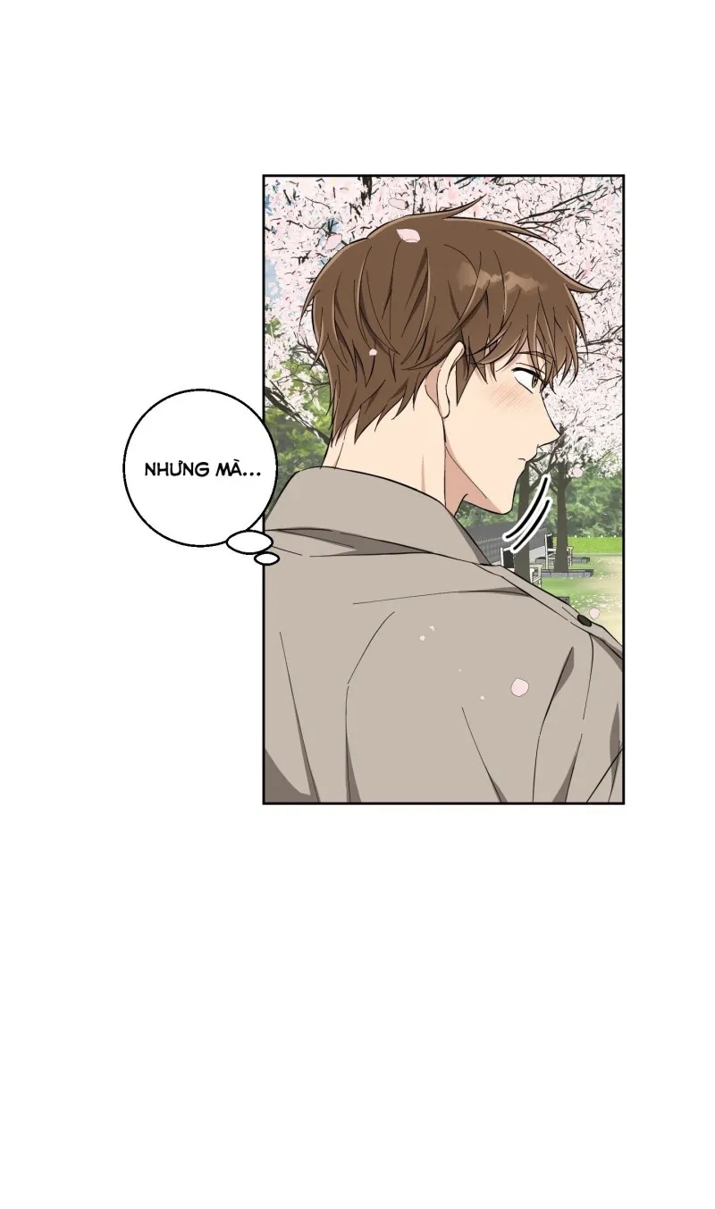 hãy bảo vệ tình yêu thuần khiết! chapter 5 64