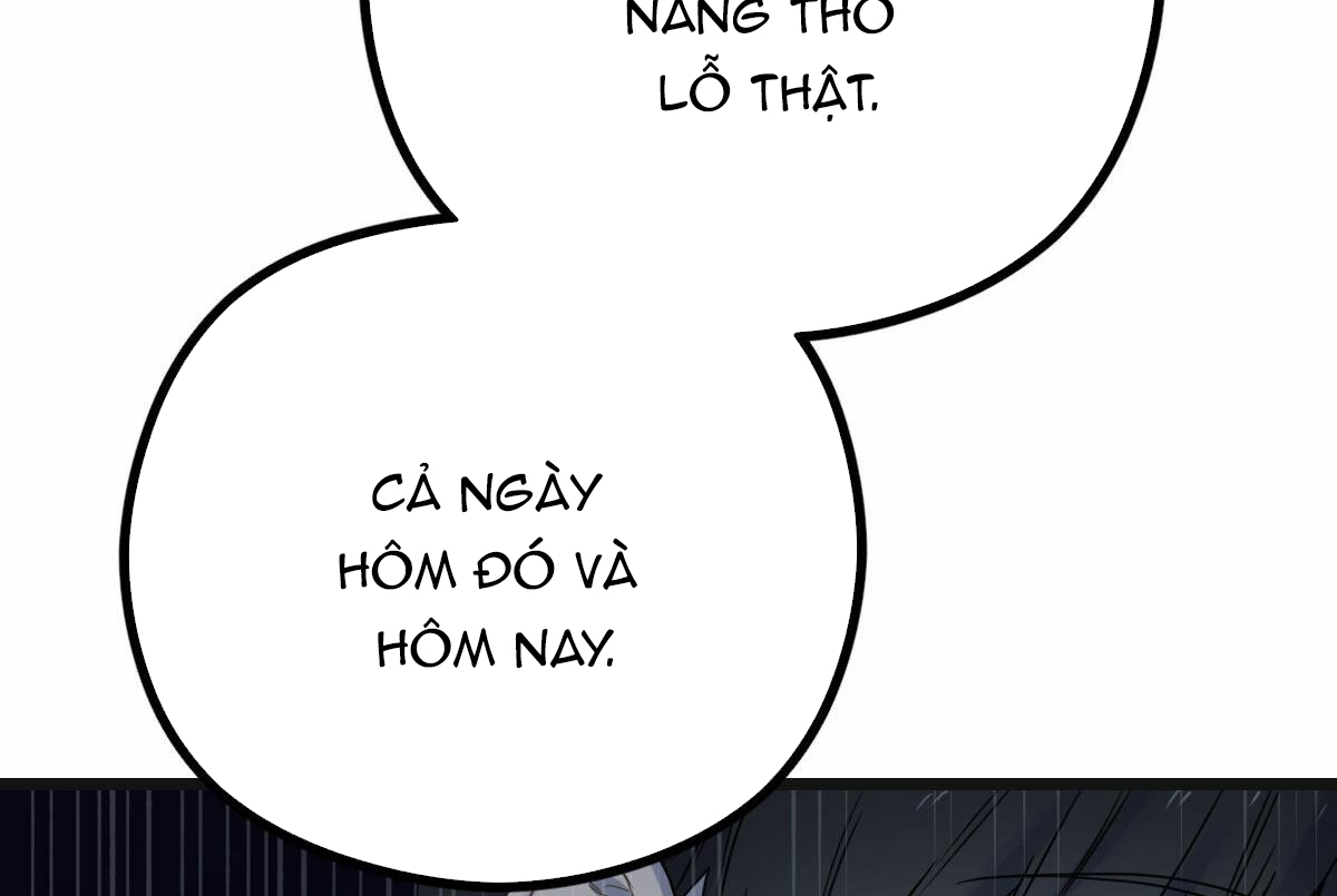 tương phùng chapter 11 231