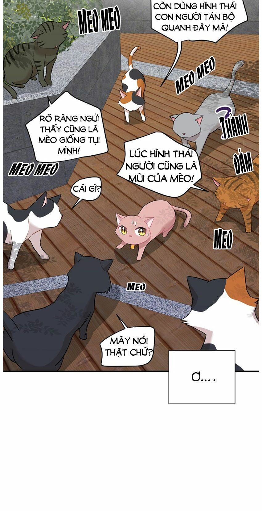 cuộc sống kỳ thú chapter 21 16