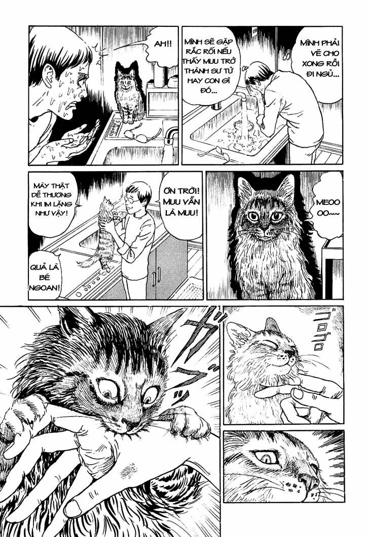 ito junji cat's diary chapter 5 7