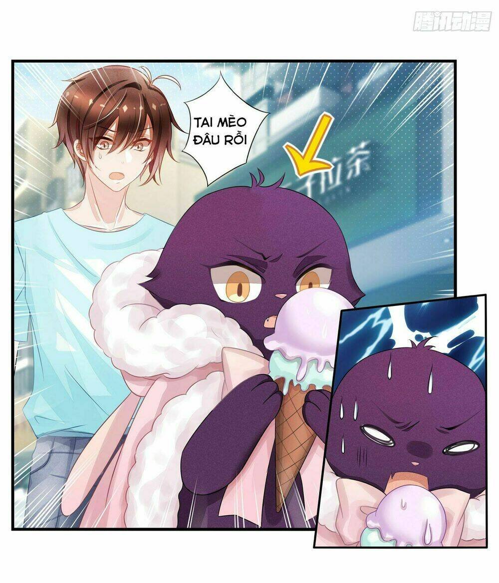 làm mèo của ta chapter 4 23