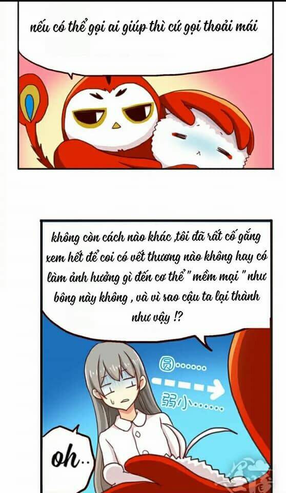 tân quang thiên chapter 11 11