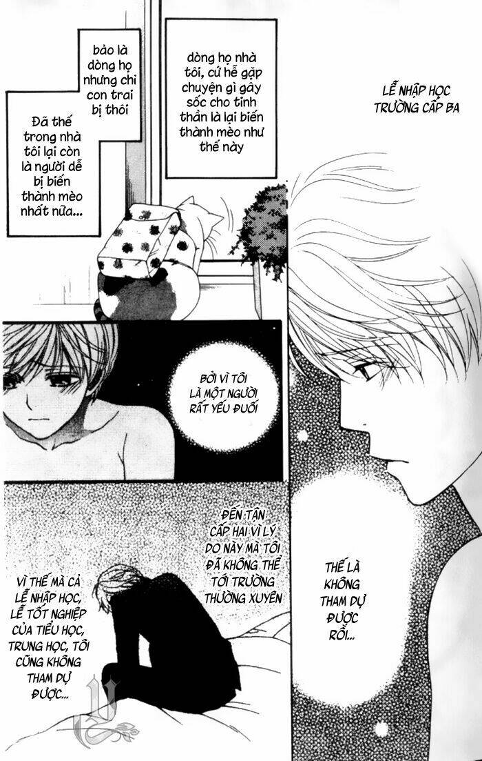 neko neko honey chapter 1 16