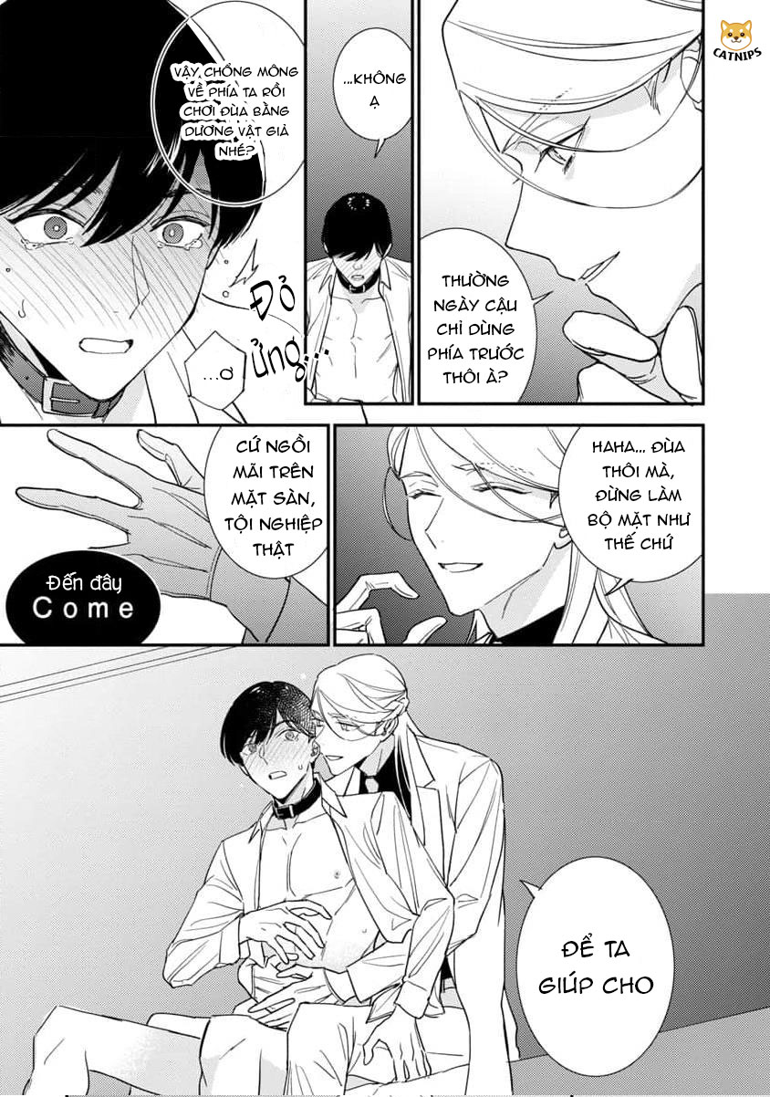 bác sĩ à, tôi là một chú chó biết yêu chapter 1 18