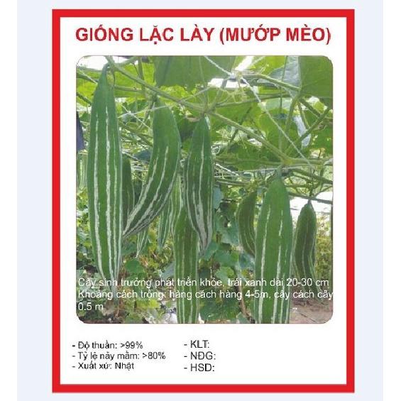 Hạt giống lặc lày (mướp mèo) gói 10 hạt