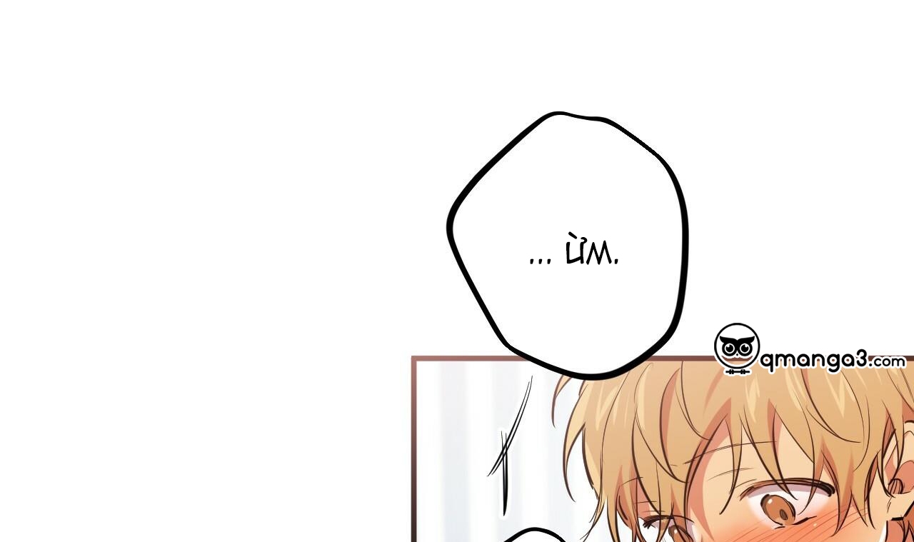 đàn thỏ của habibi chapter 38 157