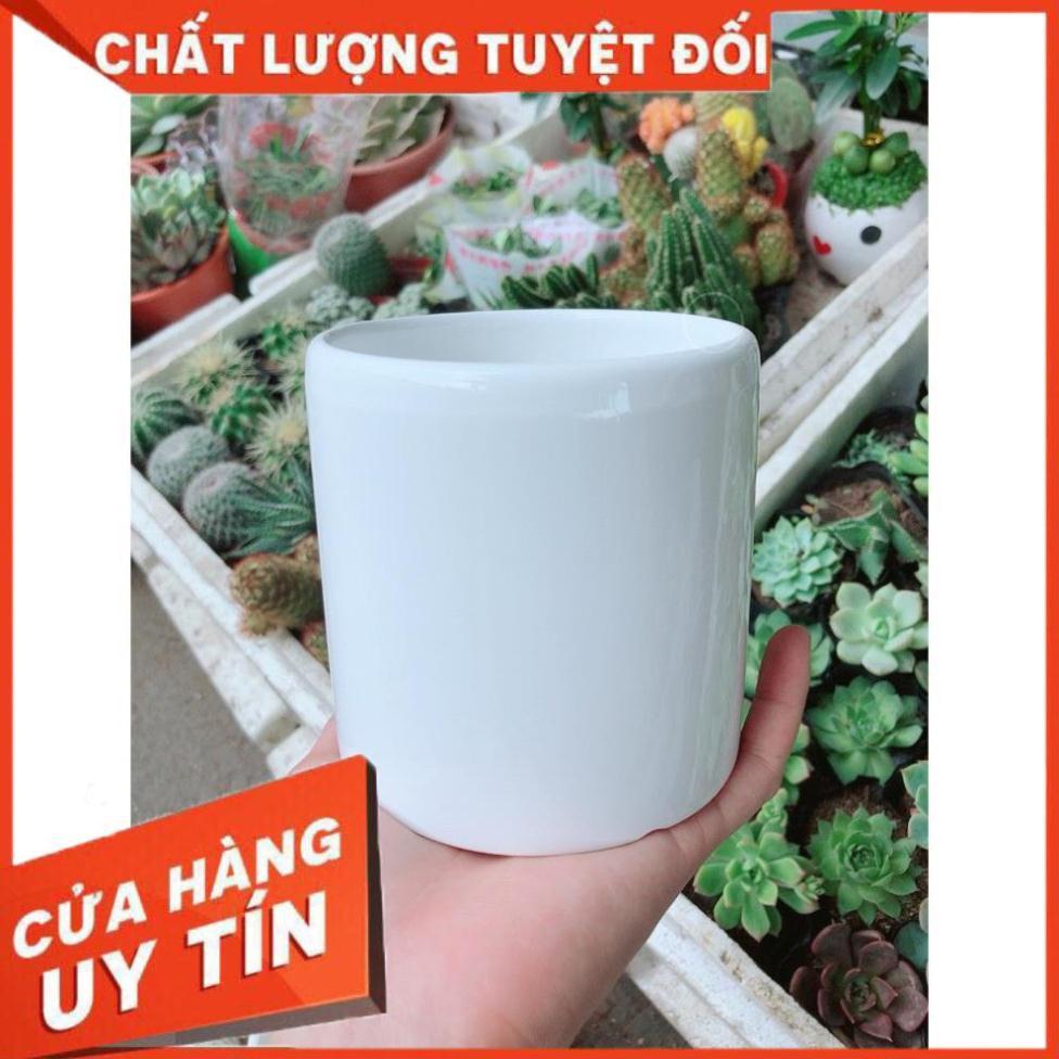 Chậu kiểu trắng trơn có dĩa lót