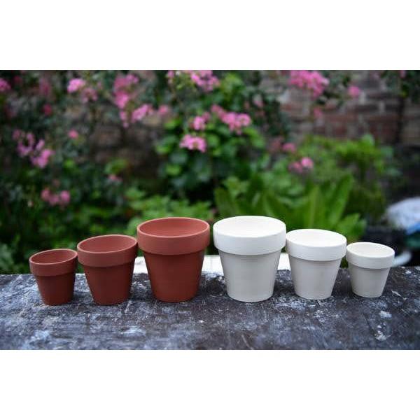 Chậu đất nung trồng sen đá xương rồng , chậu trồng sen đá trang trí nhà và văn phòng combo 10 cái 10x10 - Gốm Nghệ Nhân