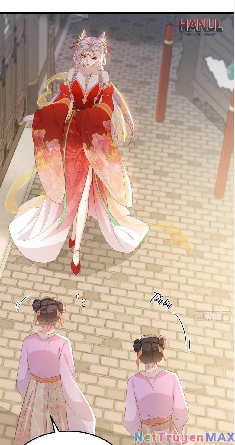 hoạn phi thiên hạ chapter 359 4