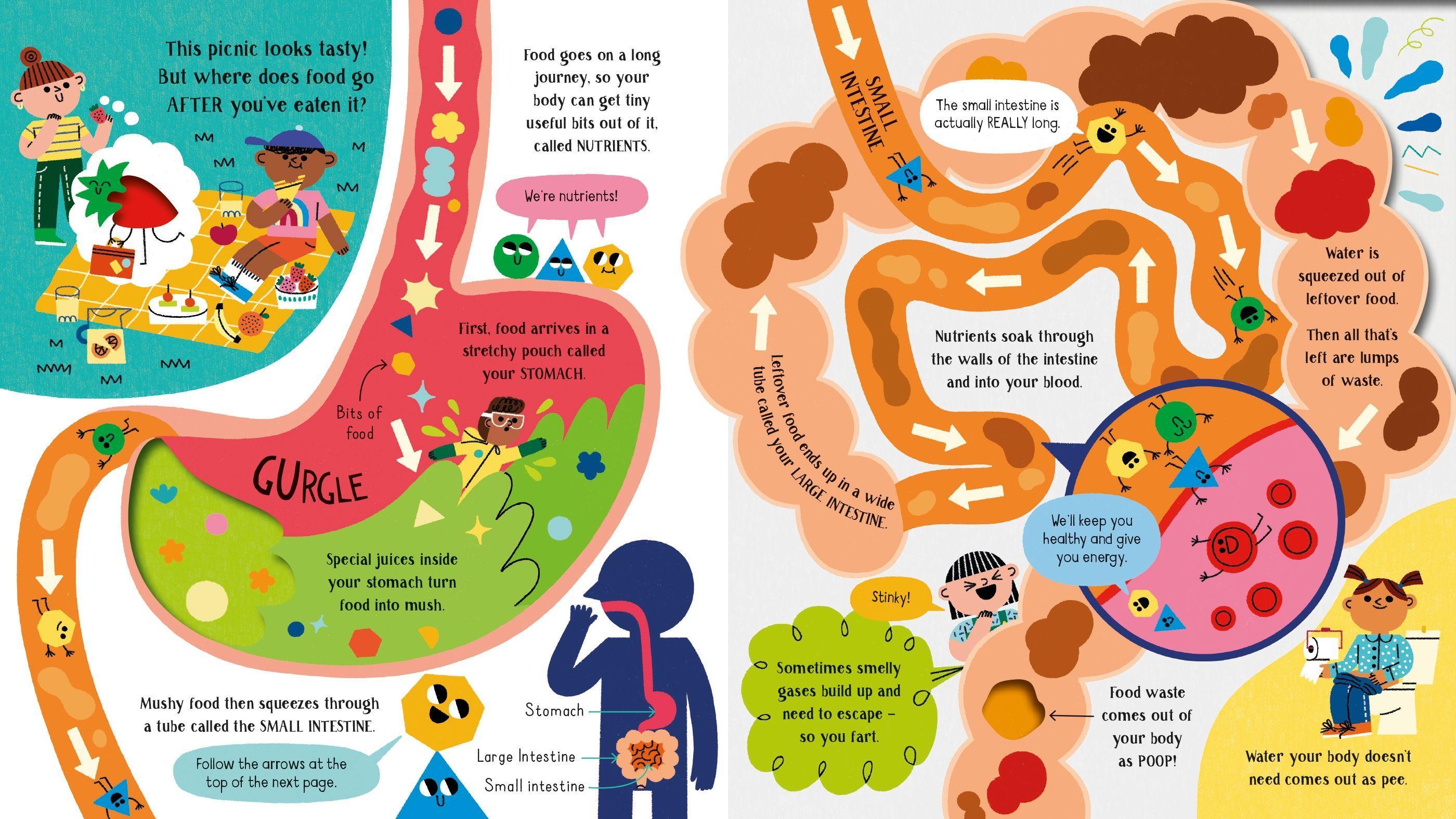 Sách ngoại văn: Step Inside Science - Your Body