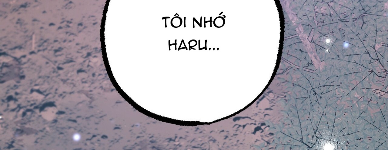 đàn thỏ của habibi chapter 22 469