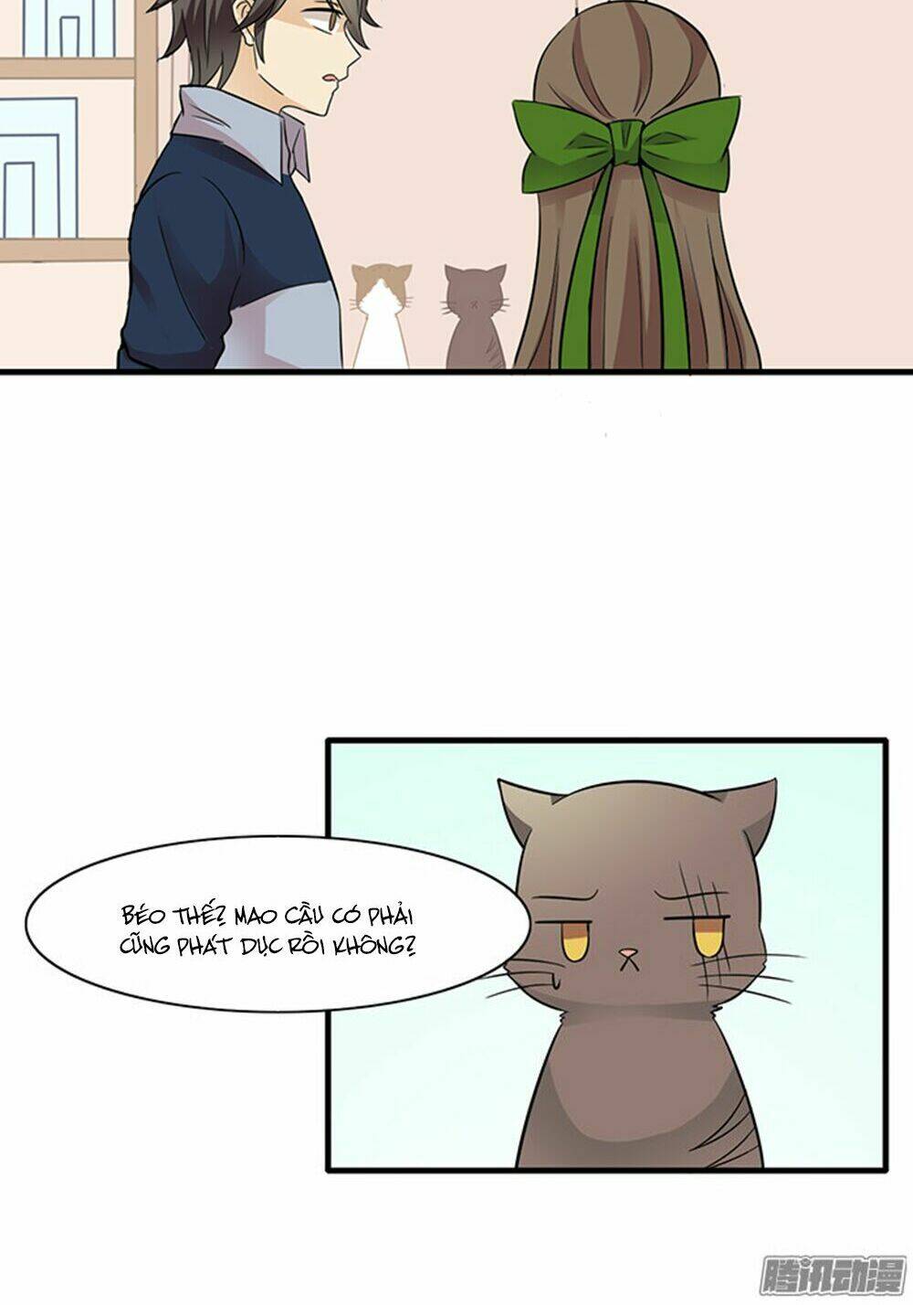 hai chú mèo totem chapter 12 11