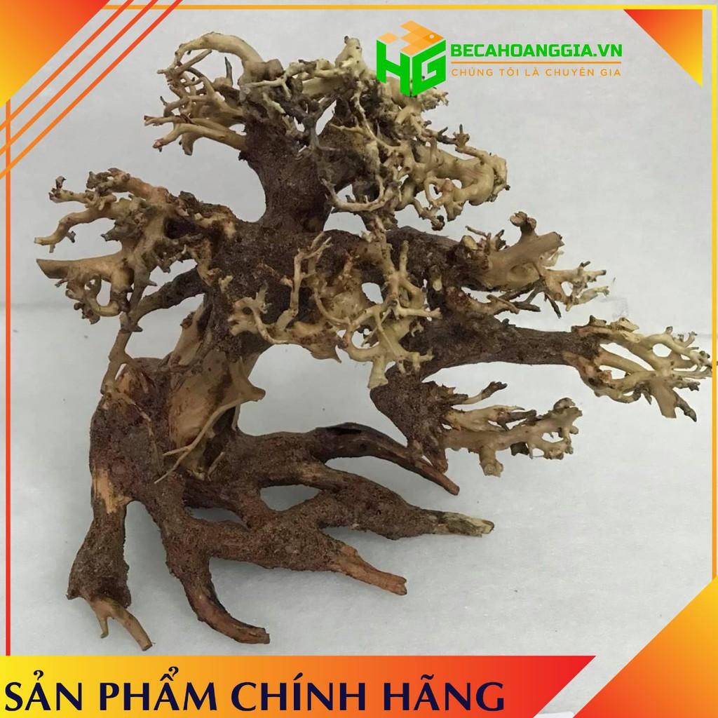Lũa Bonsai Cho Bể Cá,Bể Thủy Sinh Mini