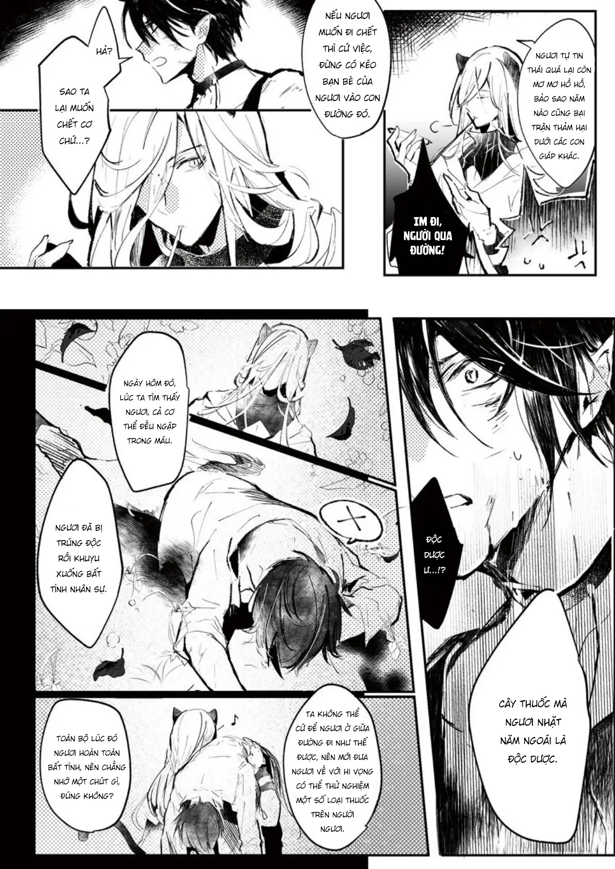 thảo dược của bác sĩ mèo đều có giá phải trả chapter 0 12