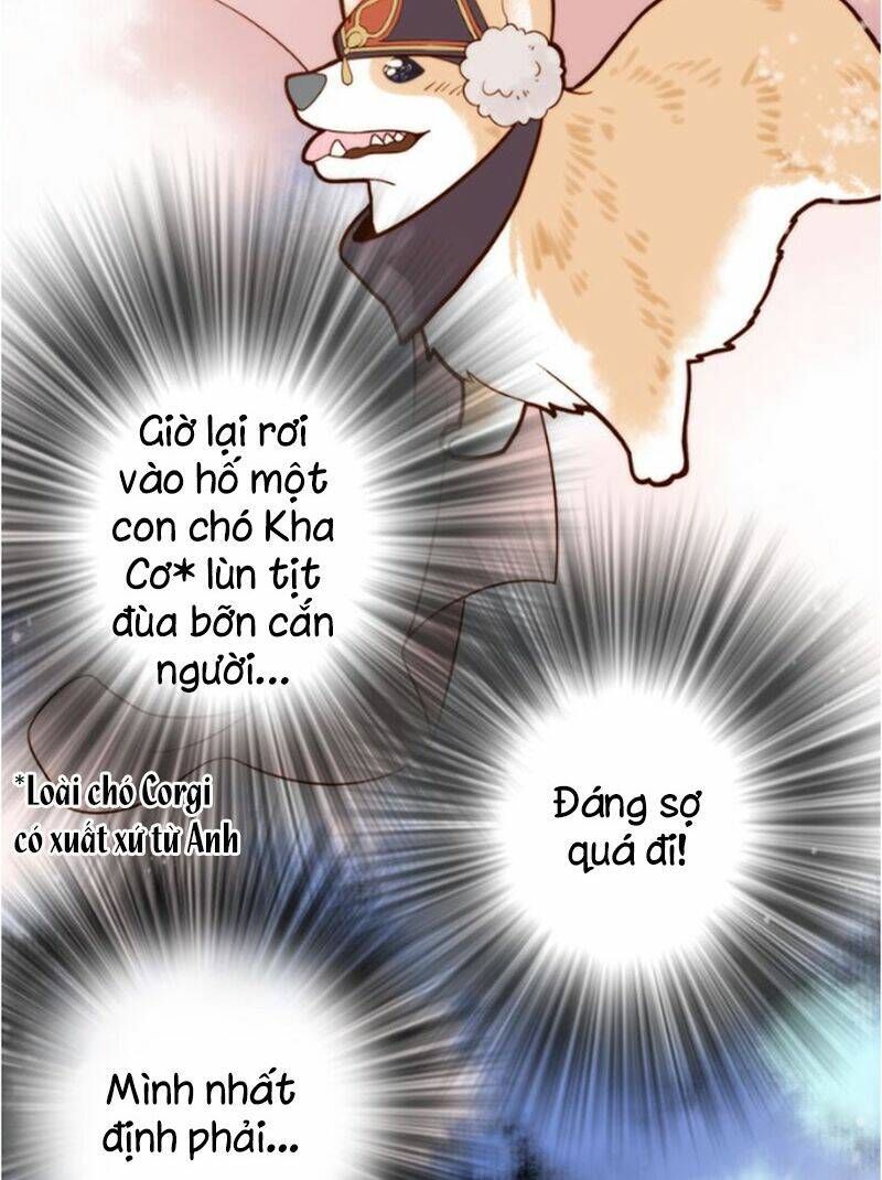 cướp chàng vợ về đón năm mới chapter 2 49