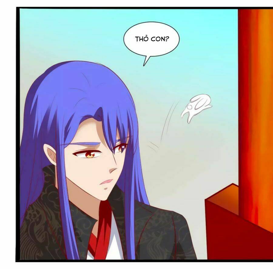 thỏ yêu tiểu vương phi chapter 38 8