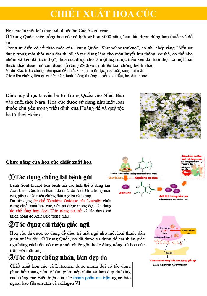 THE GOUTTO Nhật Bản - Thần Dược Hỗ Trợ Điều Trị Bệnh Gout